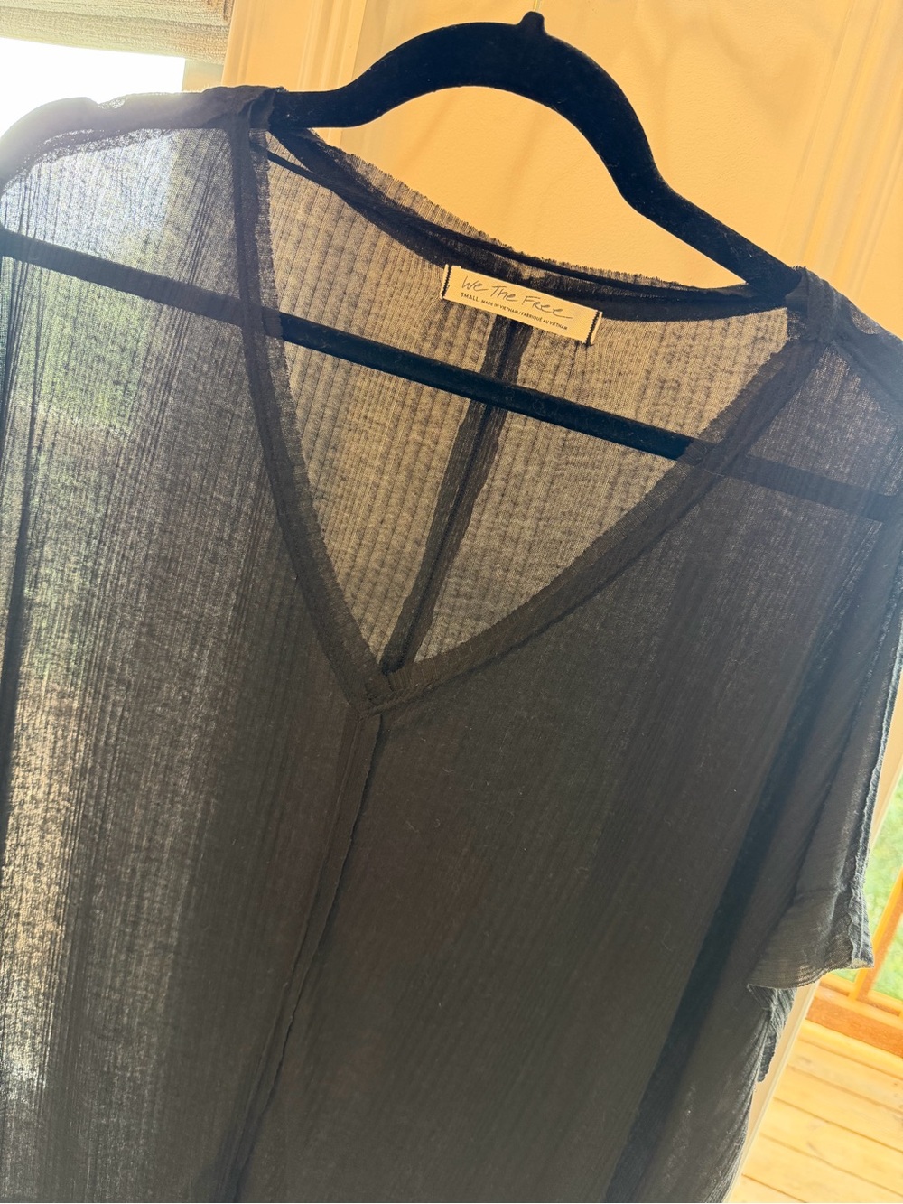 We The Free Black Sheer V-Neck Top